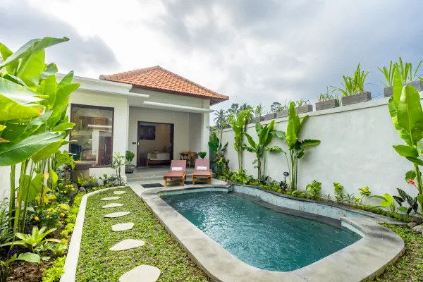 Swimming pool — The Jatu Ubud, Bali