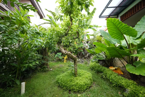 Outdoor garden — The Pageh Guesthouse, Bali