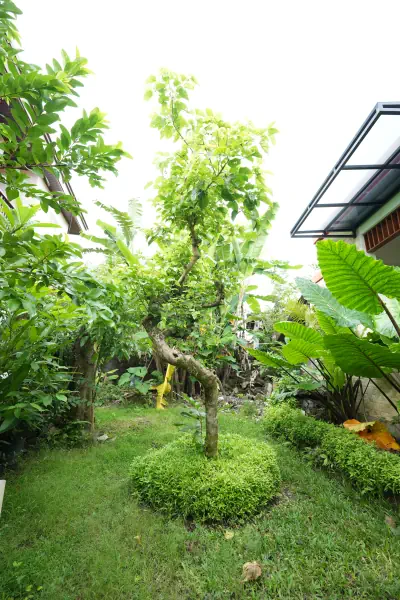 Outdoor garden — The Pageh Guesthouse, Bali