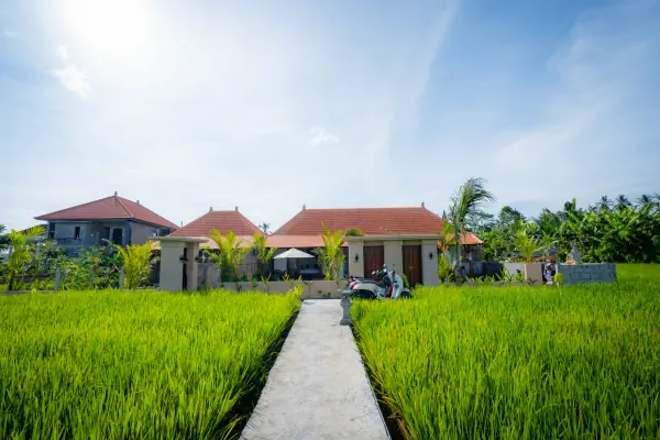 Rice field view — The Wise Ubud, Bali