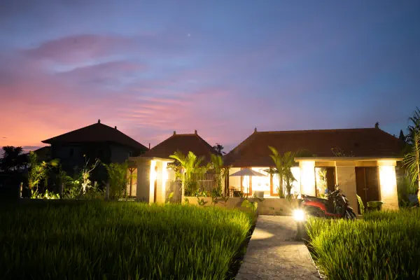Rice field view — The Wise Ubud, Bali