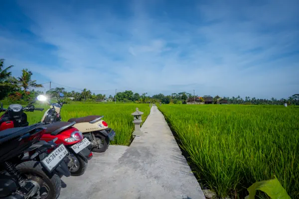 Parking — The Wise Ubud, Bali