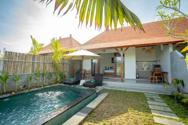 Swimming pool — The Wise Ubud, Bali