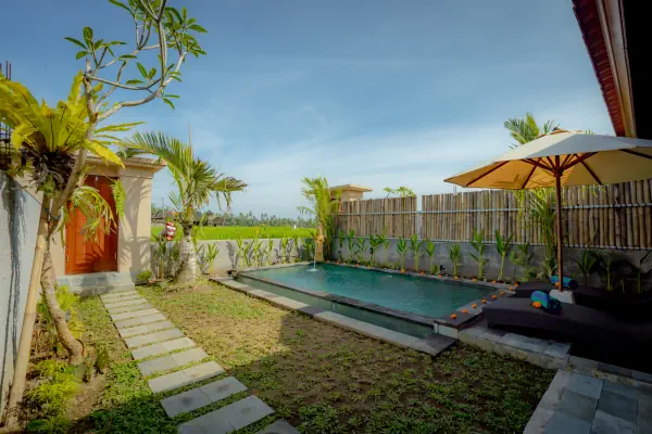 Swimming pool — The Wise Ubud, Bali