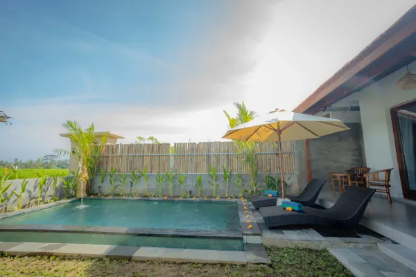Swimming pool — The Wise Ubud, Bali