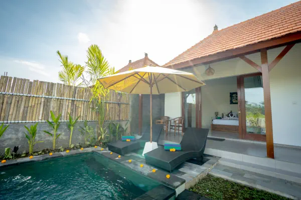 Swimming pool — The Wise Ubud, Bali